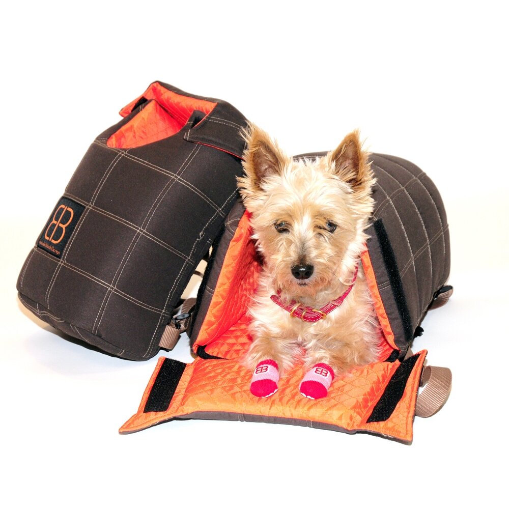 small dog front carrier